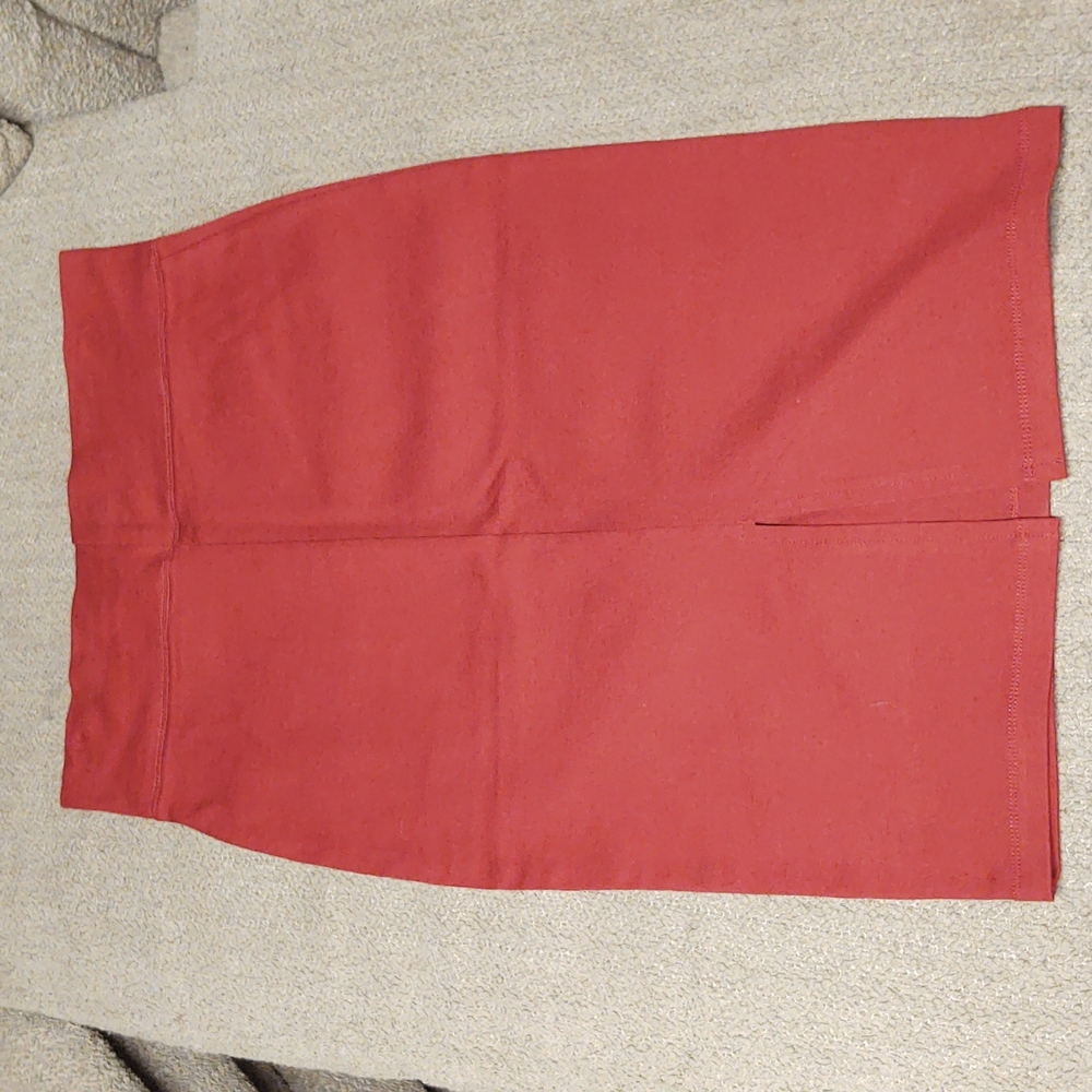 Labijou Pencil Skirt